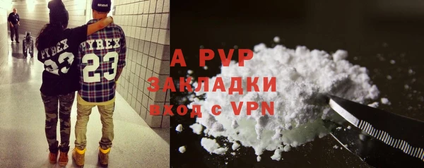 стаф Баксан