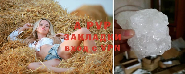 крисы Балахна