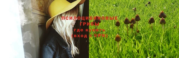 спайс Балабаново