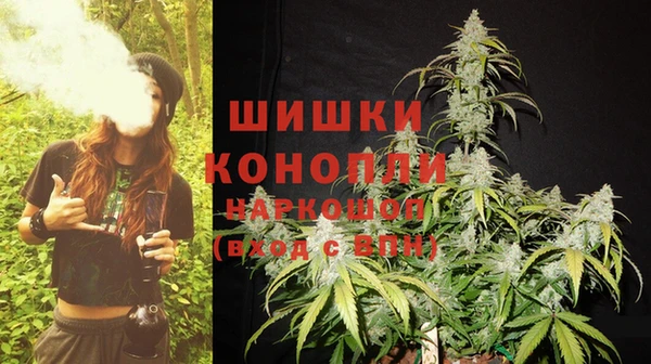 стаф Баксан