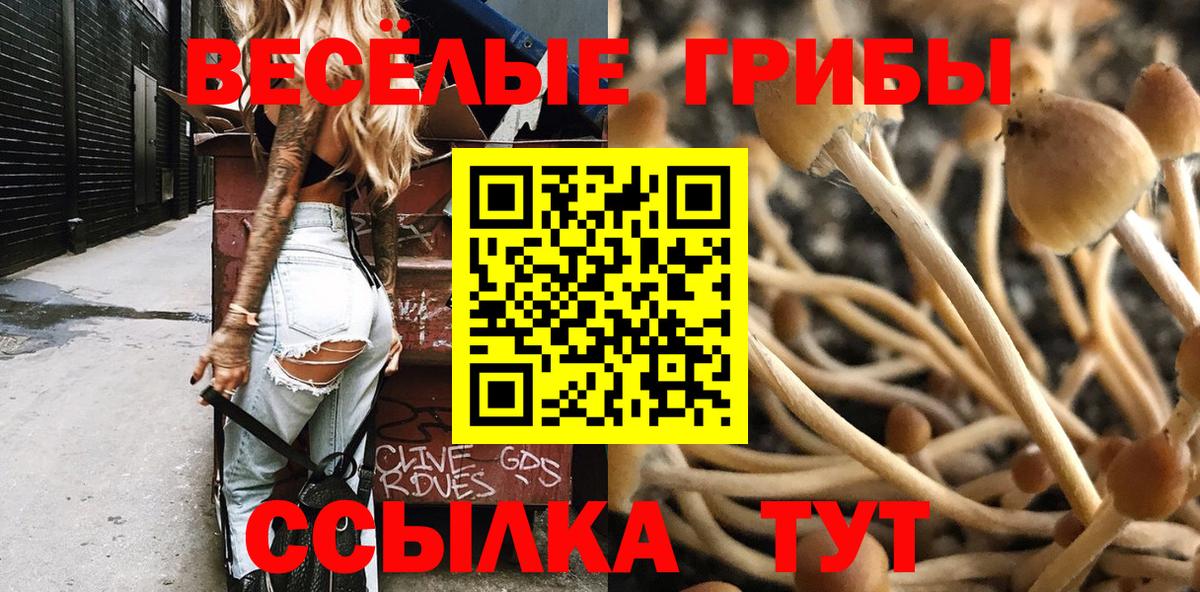 Воркута  Псилоцибиновые грибы Psilocybine cubensis  Вход с VPN 