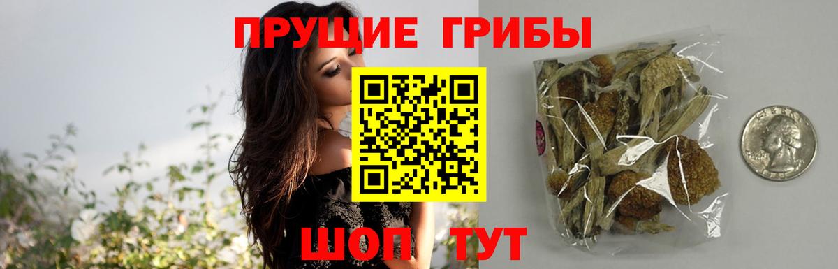 Галлюциногенные грибы мухоморы  Воркута 