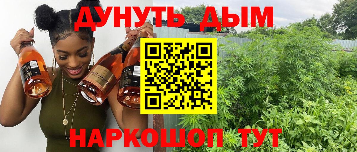 Бошки Шишки план Воркута